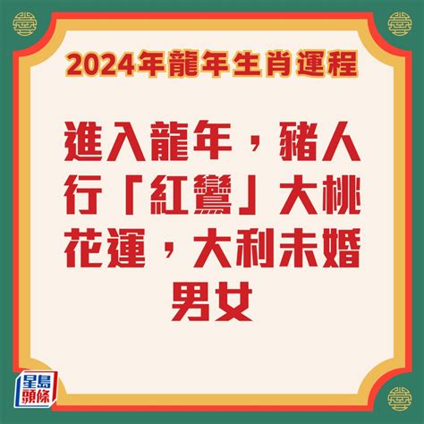 豬年運程2024|2024 肖豬流年運程 